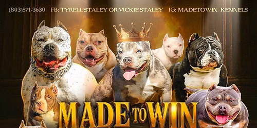 MADE TO WIN BULLY BASH 4.0 \ud83c\udfc1