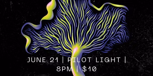 Tower Brothers Live at Pilot Light!