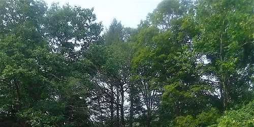 Let Nature Be Your Guide