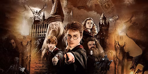 Harry Potter Mystic Market & First Saturday of the Month 