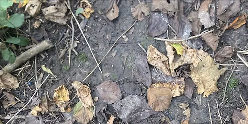 Black Canadian Hikers: Rattlesnake Point Hike (#4)