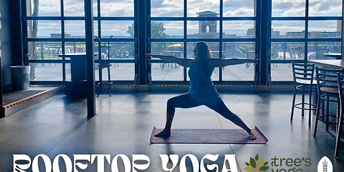 Rooftop Yoga with Tree! 