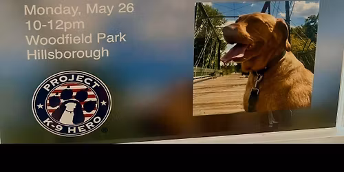 Paws In The Park Dog Walk