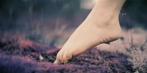 Soften: A Women\u2019s Retreat in a Cloud Forest on the Big Island of Hawaii