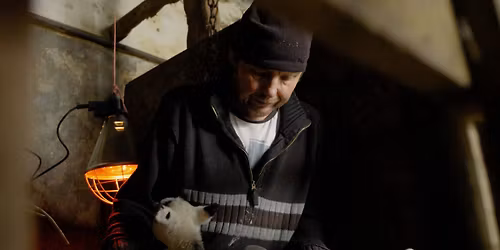 Shorts- Life Finds A Way (18)