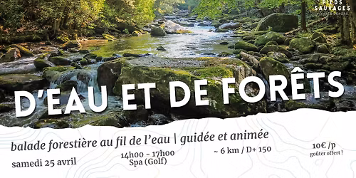 D'eau et de for\u00eats | balade foresti\u00e8re guid\u00e9e et anim\u00e9e