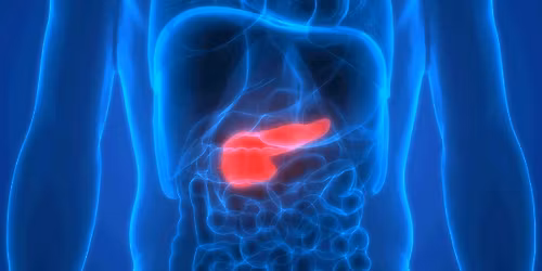 Die Bauchspeicheldr\u00fcse: Von Zyste bis Krebs - Therapeutische M\u00f6glichkeiten