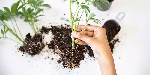 Plant Propagation & Indoor Growing Class