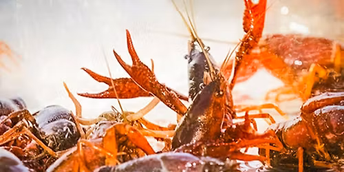 $5.99  per lb CRAWFISH AT the MOONTOWER!!
