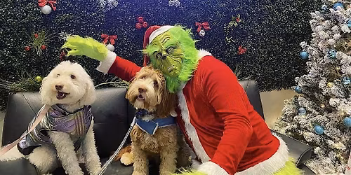 Pictures with the Grinch