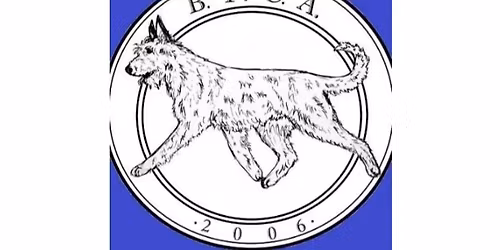 CAT & FAST CAT - Foley, AL