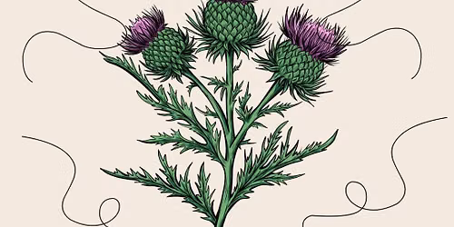 Thistle and Thread Society