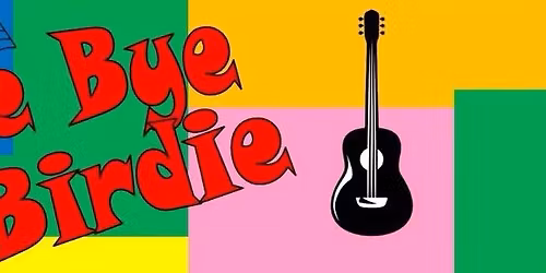 Bye Bye Birdie