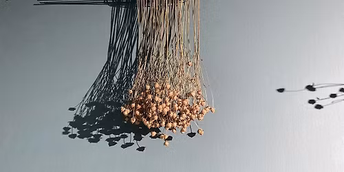 Creative Christmas Workshop: The Magic of Flax