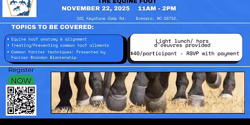 Lunch & Learn; Series #2 : The Science of Soundness: Understanding the Equine Hoof