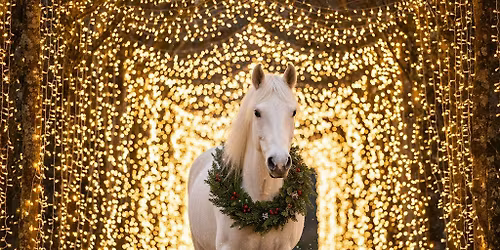 Christmas Magic on the Farm!