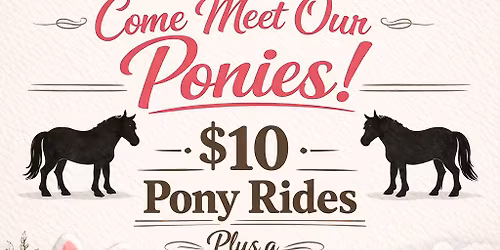 Meet and Greet with our Ponies! 