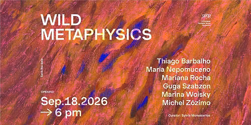 Opening | Wild Metaphysics
