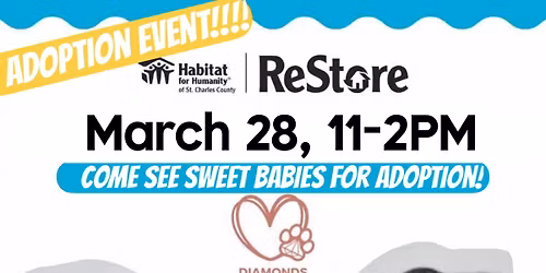 Adoption Event at ReStore , St Charles