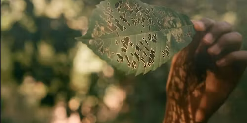 The body remembers - 4 Day Retreat of Yoga, Somatics and Fascia release in Mafra, Portugal