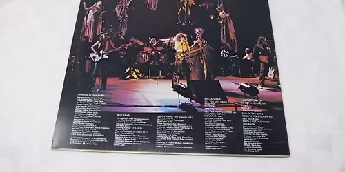 Ariel Pink with Gary Wilson