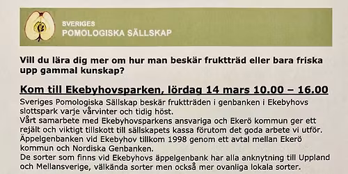 Vårvinterbeskärning på Ekerö 