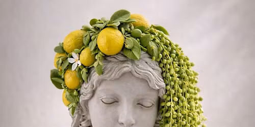 Living Botanical Sculpture Workshop