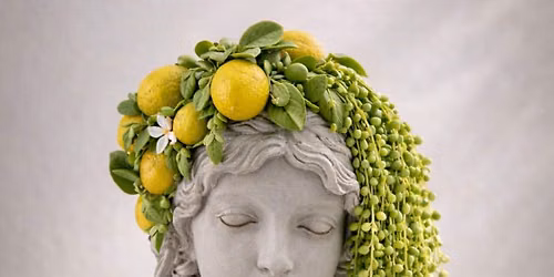 Living Botanical Sculpture Workshop