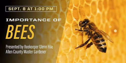 Importance of Bees