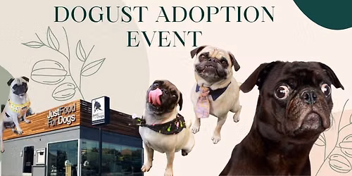 JustFoodForDogs Dogust Adoption Event