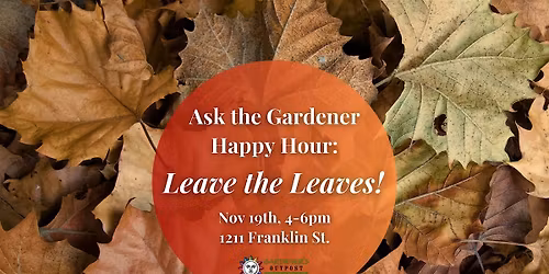 Ask the Gardener Happy Hour: Leave the Leaves!