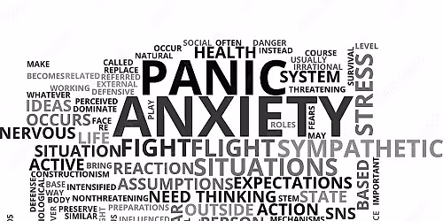 Anxiety\/Worry\/Rumination\/OCD\/Panic Attack Monthly Coaching & Support Group