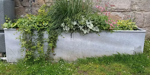 We're building some new rain planters!