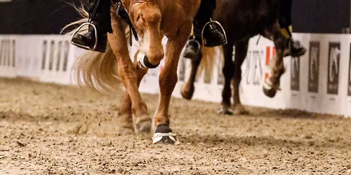 Icehorse Festival 2026 - Official event