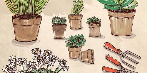 Container Gardening at Wanskuck Library