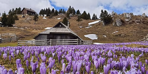 VELIK KA PLANINA (Velika Planina, Slovenija)