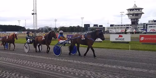 Landslagets ponnitravl\u00f8p for Nordlandshest\/Lyngshest