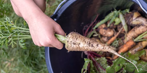 🥔 Rodfest – Efterårsferie i Den Fynske Landsby 🍂