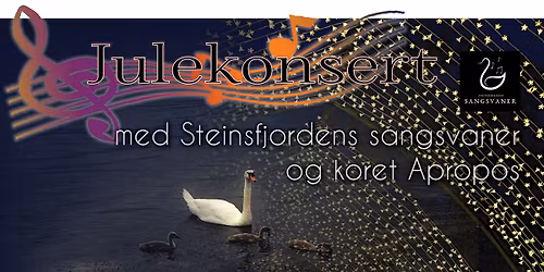 Julekonsert med demenskoret Steinsfjordens Sangsvaner og koret Apropos