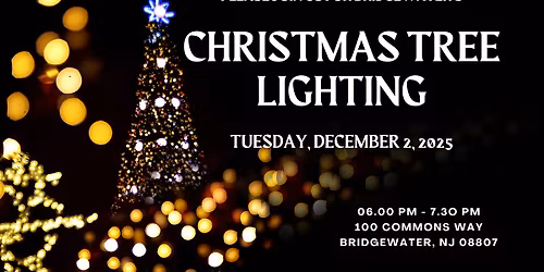 Christmas Tree Lighting