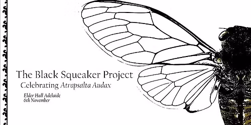 The Black Squeaker Project