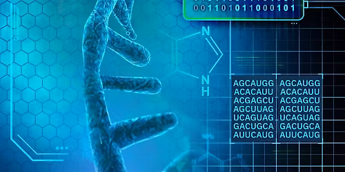 Big Science mit Big Data: Einblicke in die Grundlagenforschung am EMBL