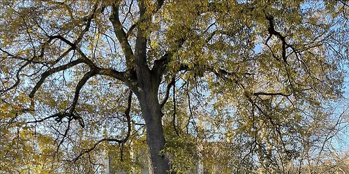 Islington Health and History Walk: Myddelton Square and Spa Green