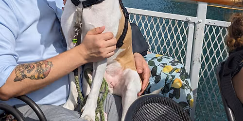 Cruising for Canines: 11th Annual Canine Cruise