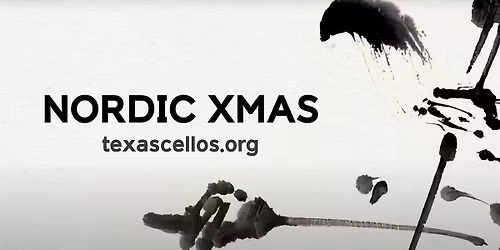 a NORDIC CHRISTMAS