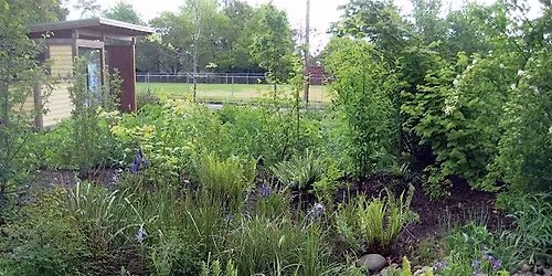 Rain Gardens 101