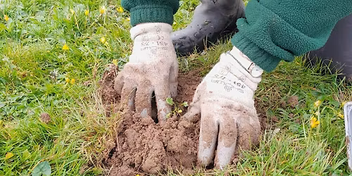 Community Connection Evening