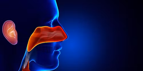2025 Arizona Society of Otolaryngology Annual Meeting Change on the Horizon