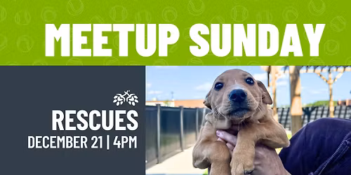 Rescue Meetup