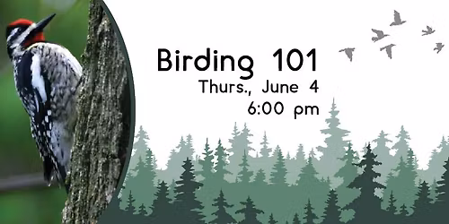 Birding 101 Talk
